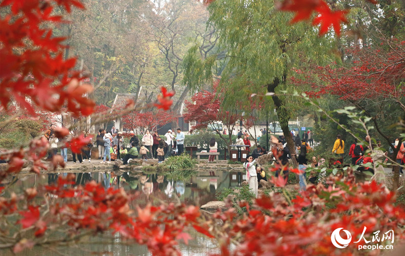 游人岳麓山下赏“枫”景。人民网记者 刘宾摄