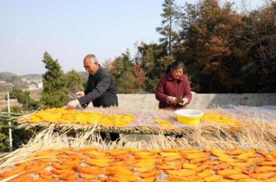 村民正在自家樓頂分切紅薯晾晒。李月娟攝