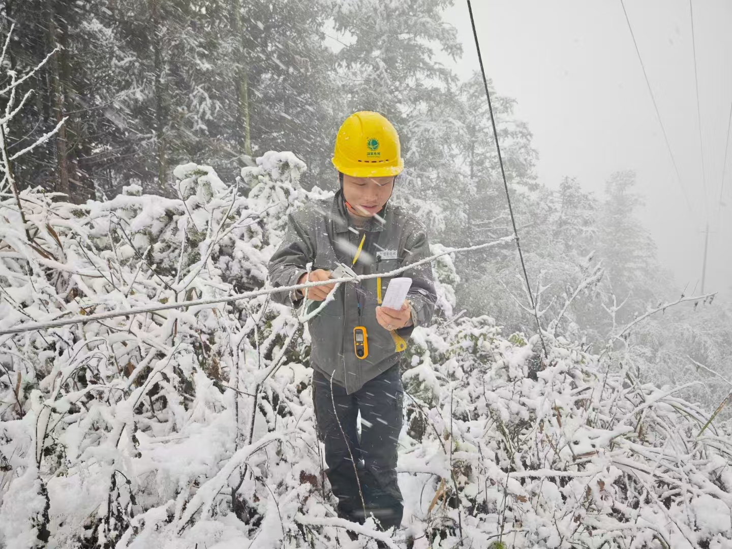 國網會同縣供電公司：線路覆冰監測 風雪無懼保供電。單位供圖