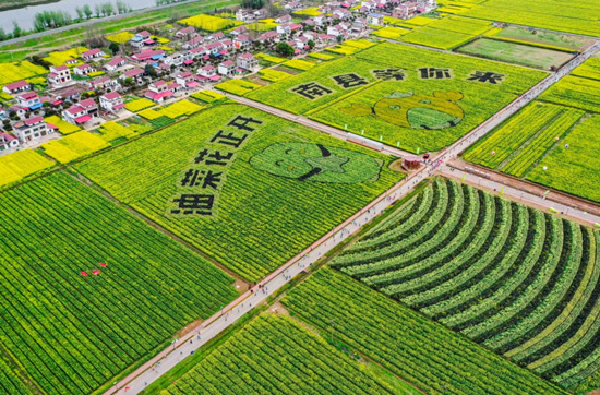 洞庭罗文涂鸦艺术景区。受访单位供图