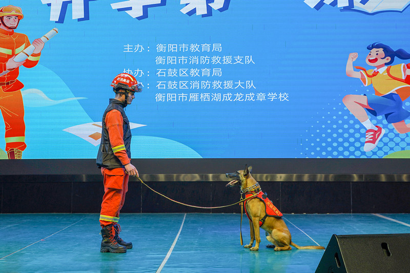 消防員與搜救犬互動。衡陽消防供圖