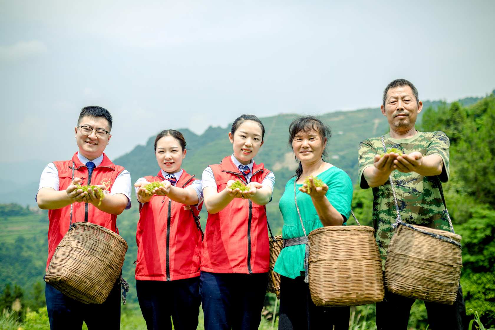 张家界农商银行工作人员走访莓茶种植户。受访单位供图