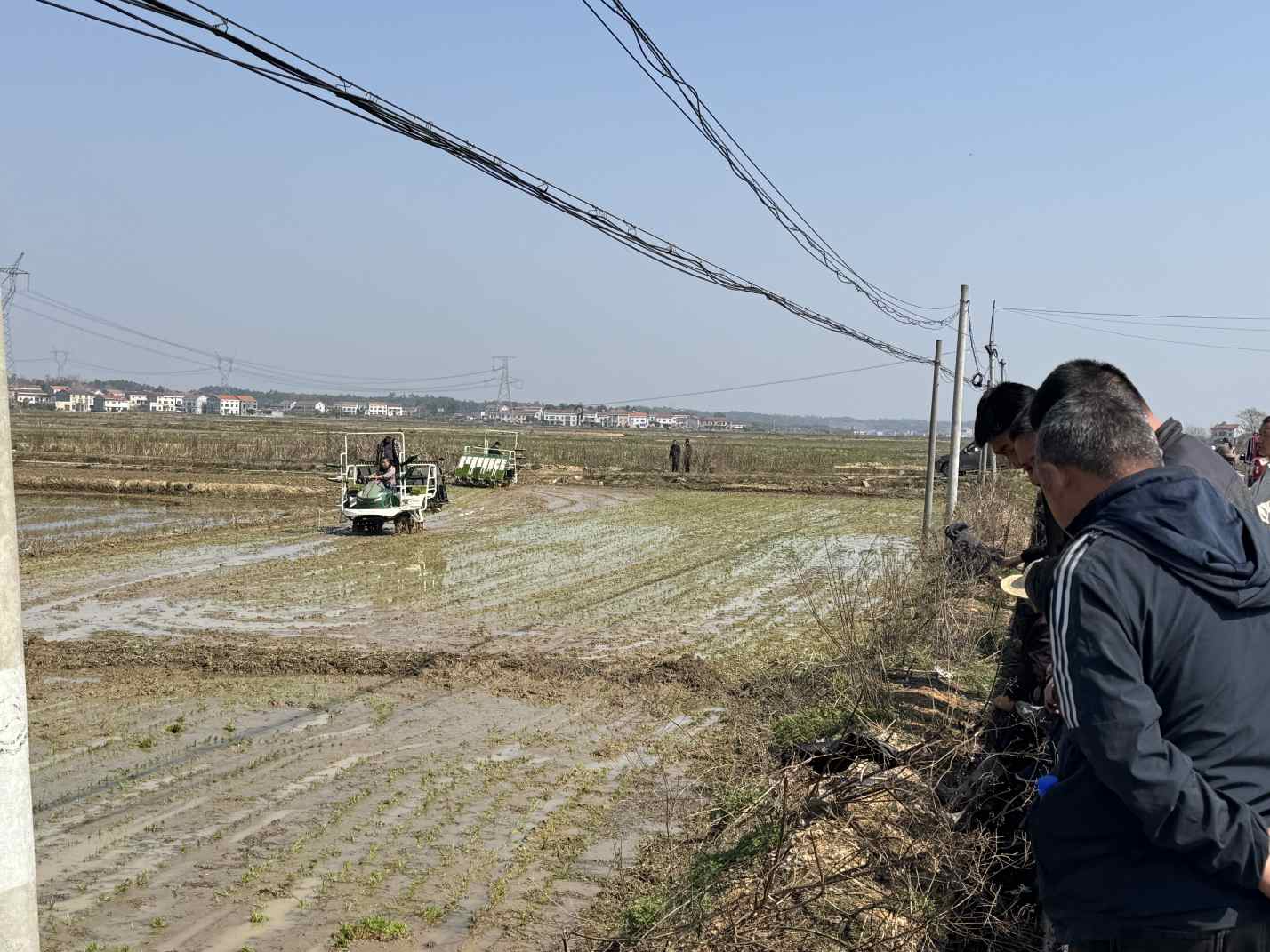 筻口鎮2025年水稻機插秧育秧技術現場演示會在移山村現場演示示范機插秧。單位供圖