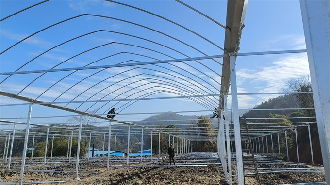 農發行支持的郴州北湖區優質果蔬基地建設連棟智能溫控大棚現場。受訪單位供圖