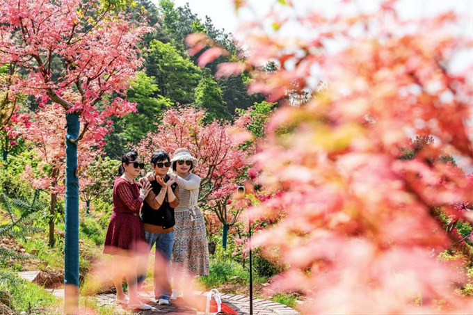 游客在東安縣井頭圩鎮紅楓谷景區游玩。蔡小平攝 