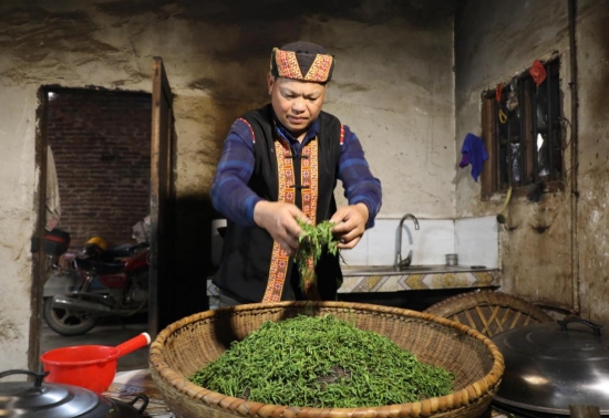 村民李英田要自家厨房的制茶作坊制茶。李月娟摄