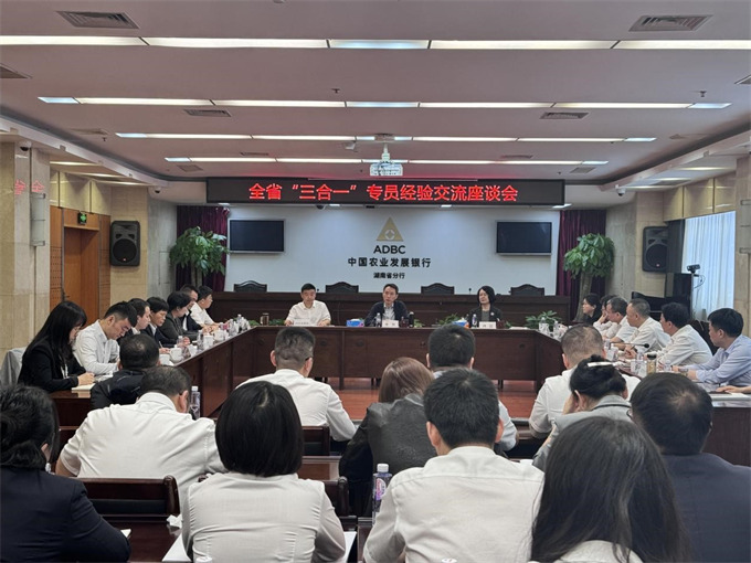 经验交流座谈会现场。受访单位供图