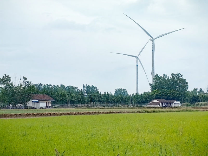 风力发电机屹立在田野中。人民网记者 林洛頫摄