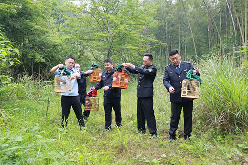放生現場。受訪單位供圖