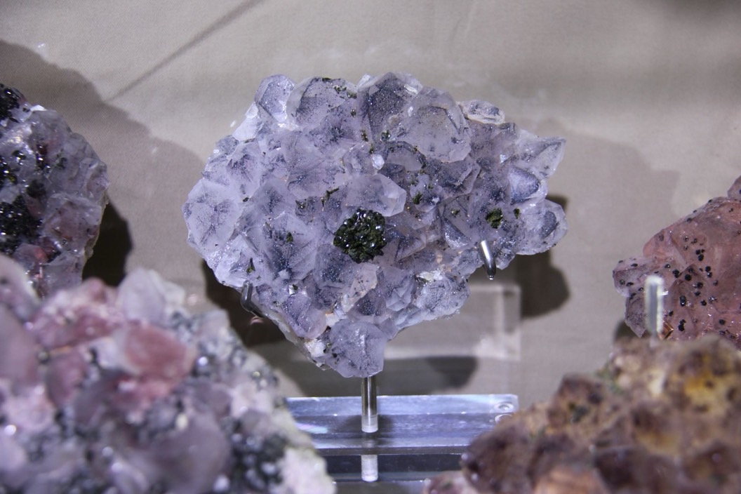 展位上的花园水晶。邓依乔摄