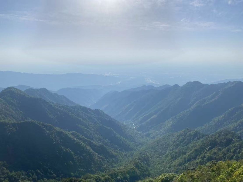 回龙山景区。蒋杨阳摄