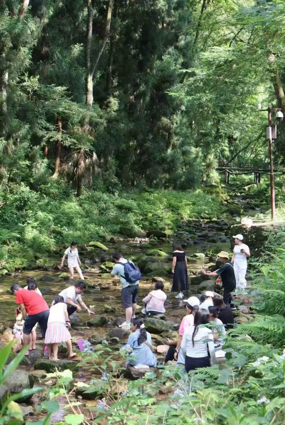 游客在金鞭溪畔嬉戏。谌与为摄