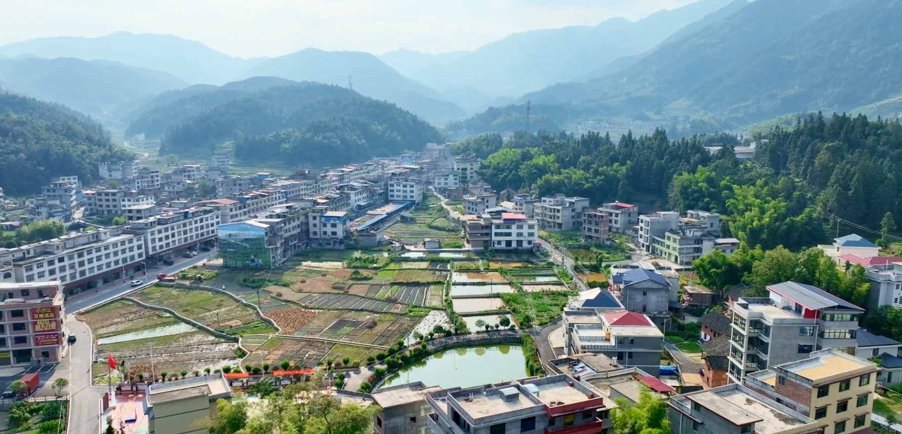 S322省道穿村而过，村庄美丽整洁（单位供图）