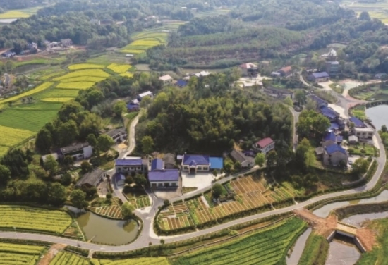 美麗屋場樣板典型菁華鋪鄉陳家橋村。菁華鋪鄉供圖