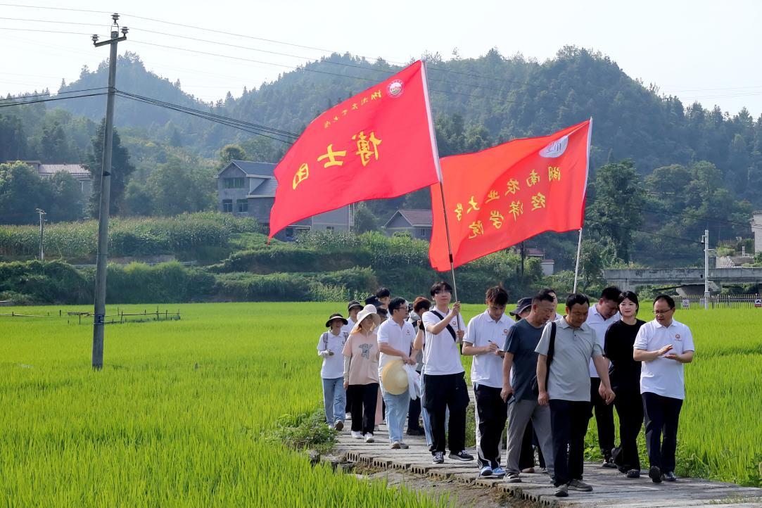 博士團在雅沙村調研高標准農田建設情況。單位供圖