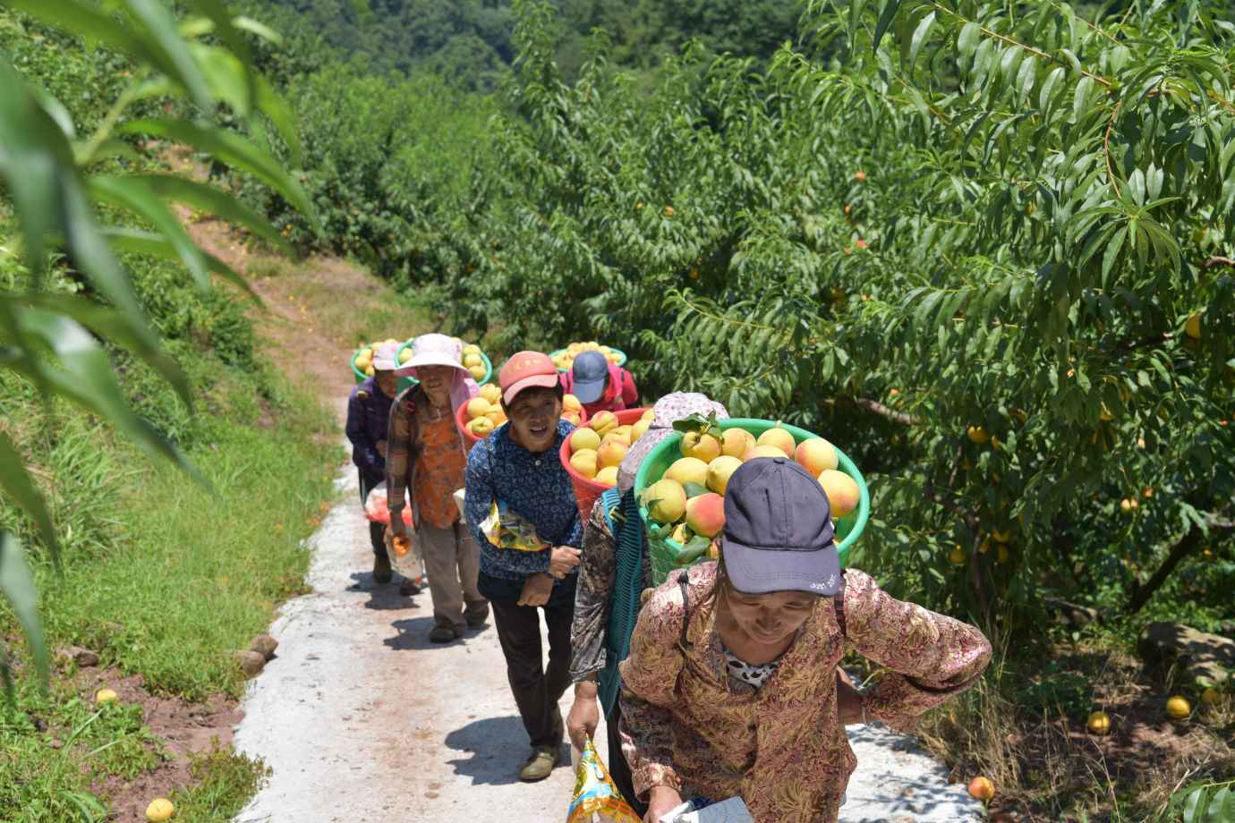 村民在基地务工。宋宇昕摄