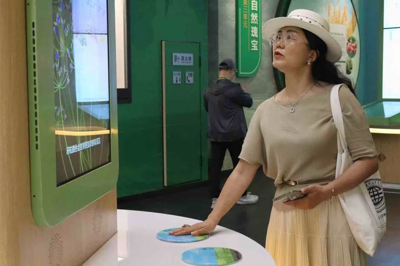 海外记者在杂交水稻发源地博物馆体验互动项目。谌与为摄