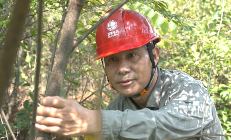 国网岳阳输电检修公司崔岳新对220千伏昆文Ⅱ线的树竹障碍进行清理。受访单位供图