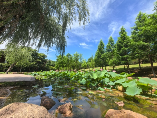燕子嶺好人公園一角。受訪單位供圖