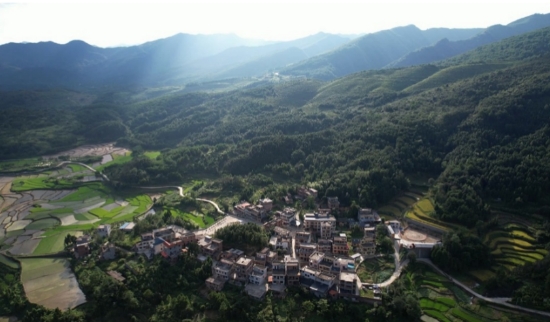 新田县金陵镇上游村。黄新摄