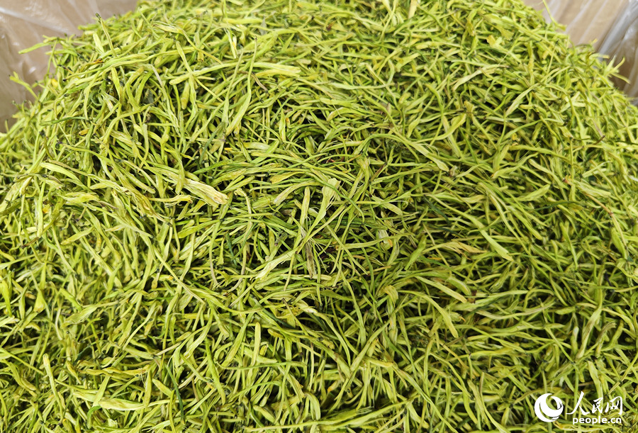 即將放入冷庫儲存的金銀花。人民網記者 劉賓攝