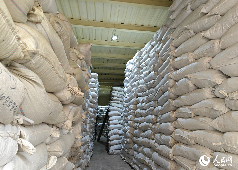 隆回一家企业冷库内存放的今年刚收获的金银花。人民网记者 刘宾摄