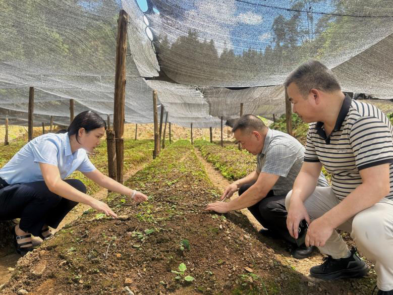 農行湘西龍山縣支行客戶經理開展貸款調查。單位供圖