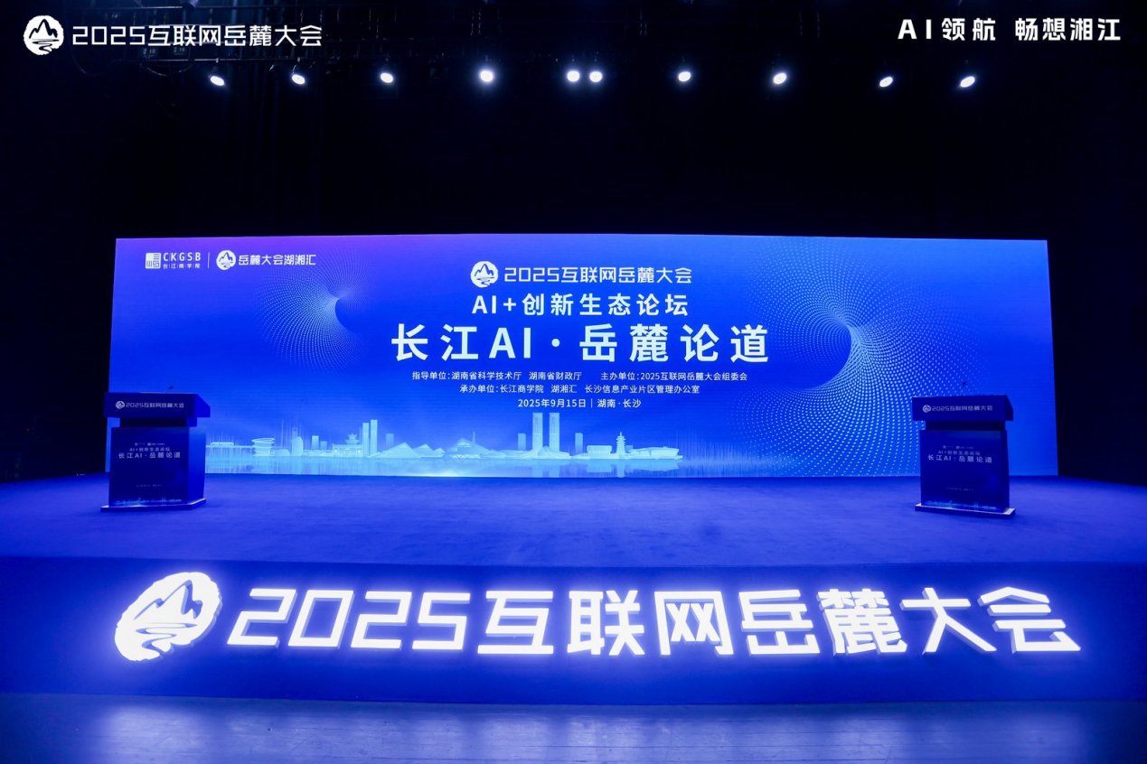 2025互联网岳麓大会。受访单位供图