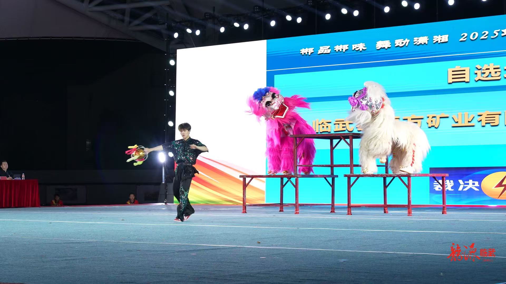 湖南省乡村龙狮争霸赛现场。受访单位供图
