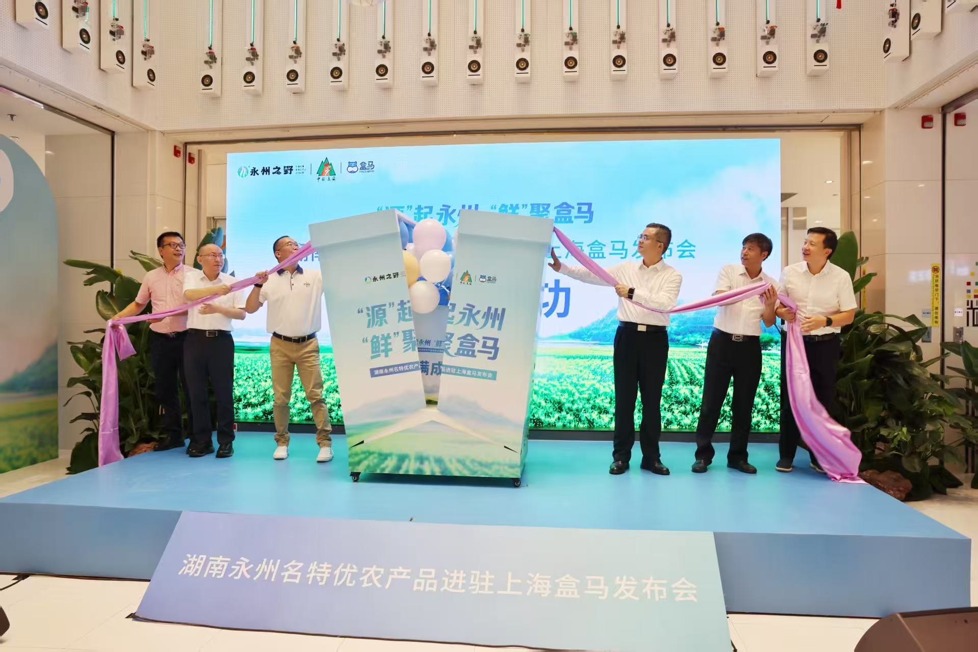 开“盒”仪式。严洁摄