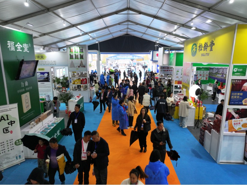 第三届湖南（廉桥）中医药产业博览会在邵东开幕