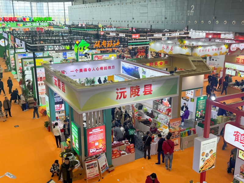 展区。人民网记者 林洛頫摄