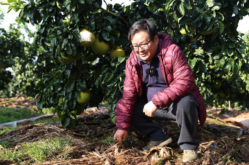 專家實地考察。李根攝