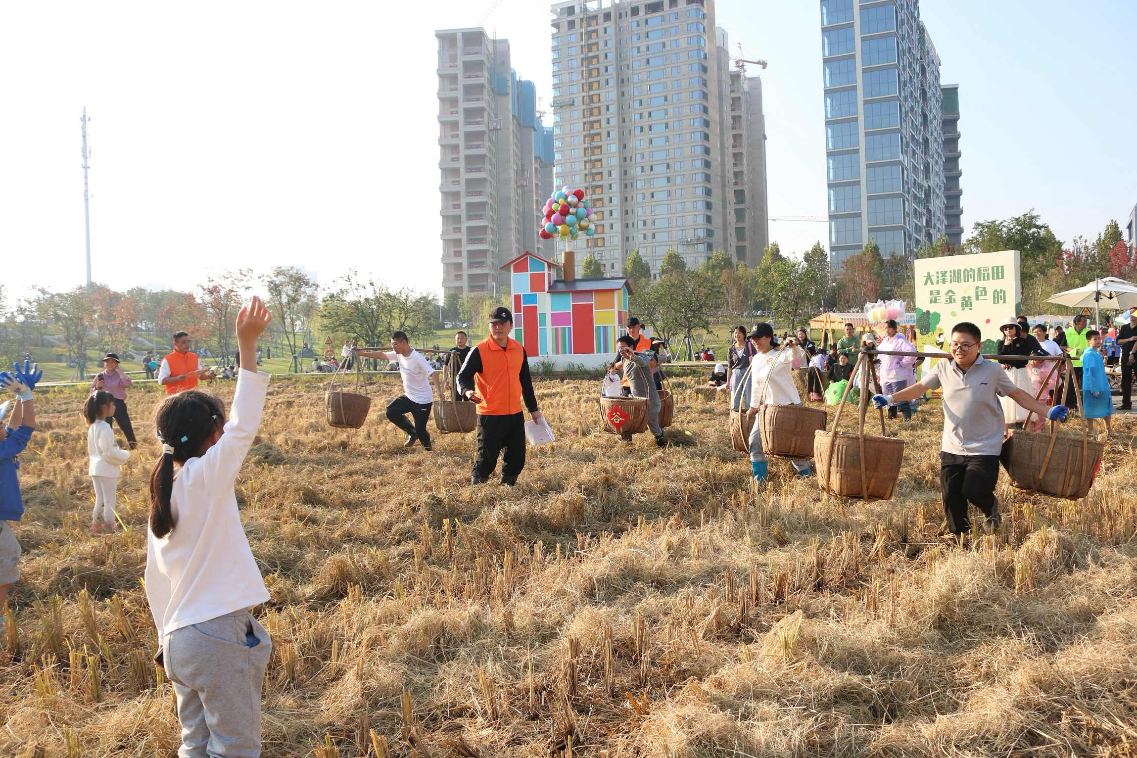 打卡稻田丰收盛宴。望城城发集团供图