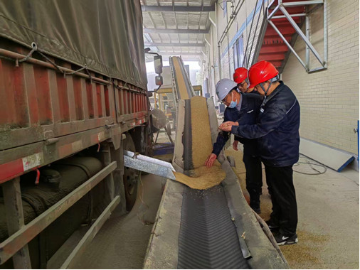 婁底直屬庫工作人員在卸糧現場查看糧食質量情況。（單位供稿）