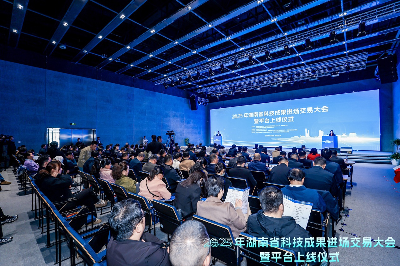 大会现场。主办单位供图