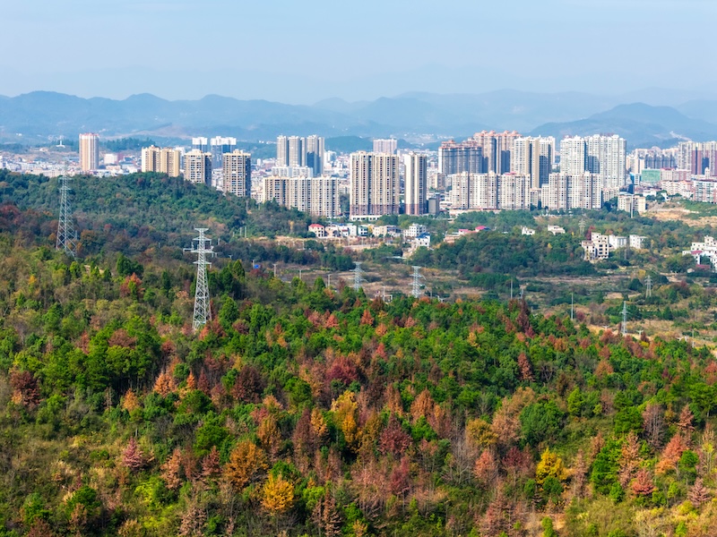 紫水國家濕地公園。蔡小平攝