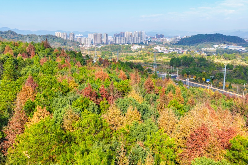 紫水國家濕地公園。蔡小平攝