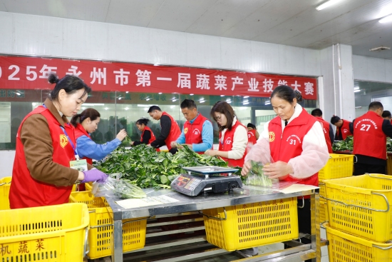 比赛现场。受访单位供图