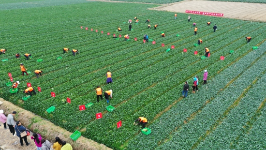 比赛现场。受访单位供图