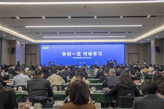 会议现场。杨思颖摄