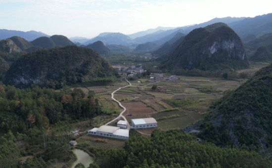 大圩鎮高寨村。朱婷攝