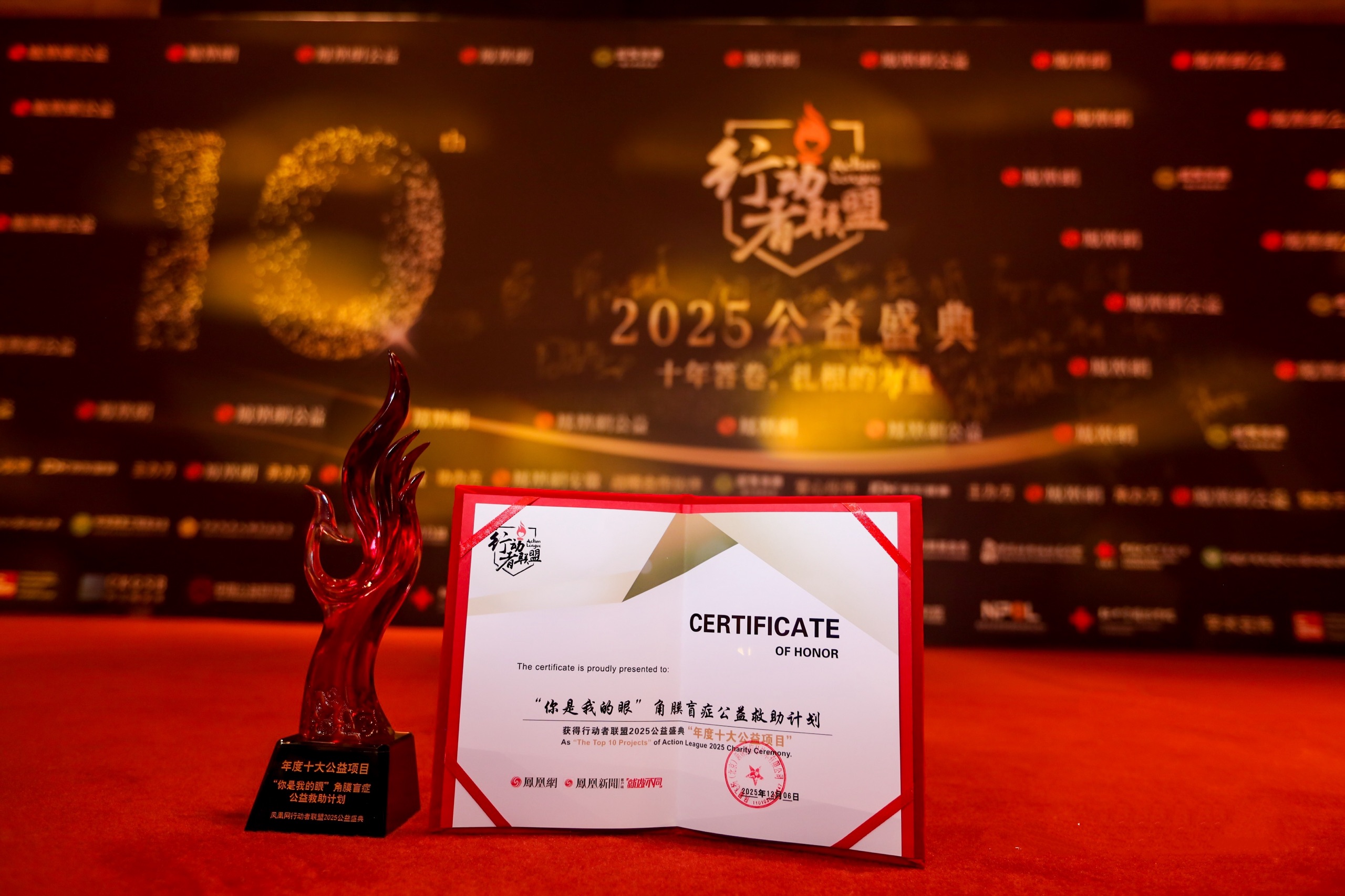 “你是我的眼”角膜盲症公益救助项目获评“年度十大公益项目”。企业供图