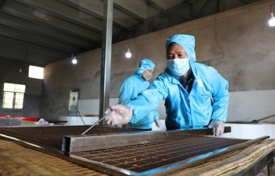 楊超用模具將凝固的紅糖劃成一塊塊小糖磚。鄭鋒攝
