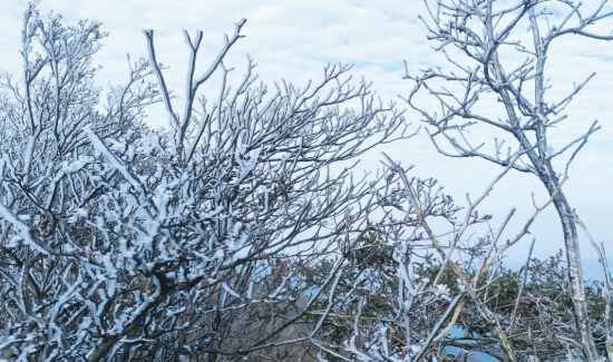 瑤山之巔迎今冬首場霧凇。受訪單位供圖