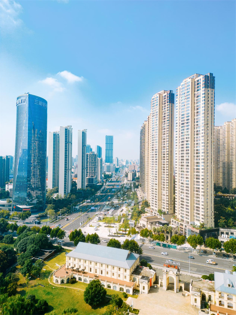 城市在不断长高。受访单位供图
