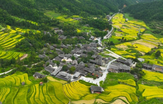 一幅农业强、农村美、农民富的乡村振兴新画卷在苗乡侗寨徐徐铺展。张贻华摄