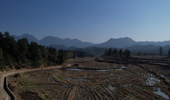 高标准农田建设。唐芳艳摄
