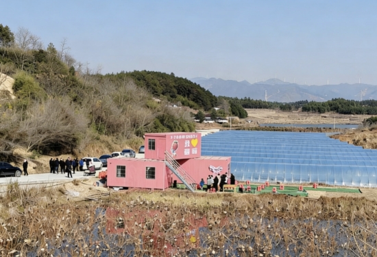 新田县秀富里村的九九草莓园。受访单位供图