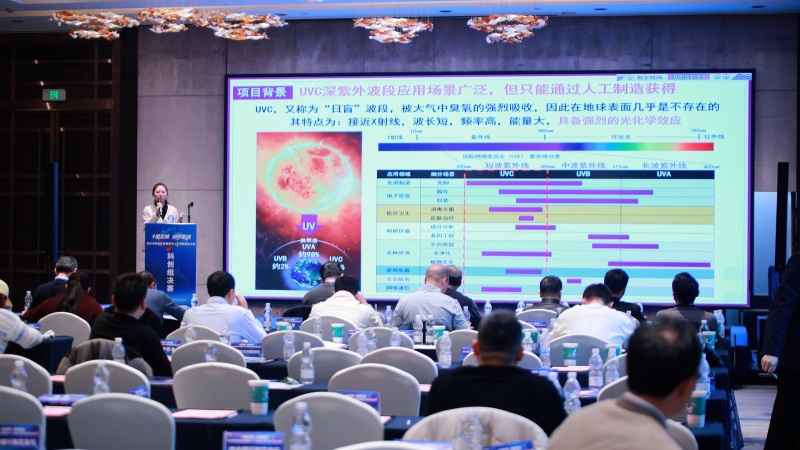 項目介紹。受訪單位供圖